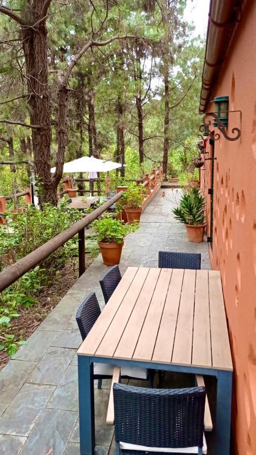 Casa Rural En Medio Del Bosque, El Lance Firgas Exterior photo