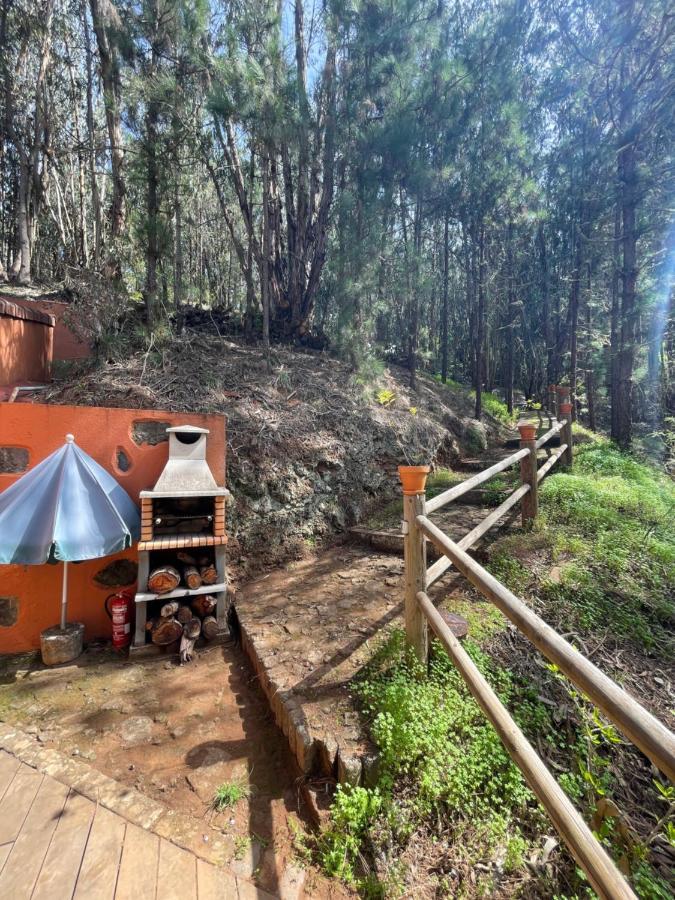 Casa Rural En Medio Del Bosque, El Lance Firgas Exterior photo
