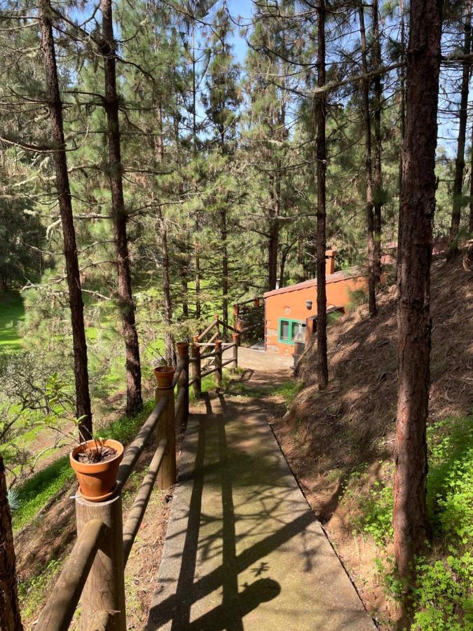 Casa Rural En Medio Del Bosque, El Lance Firgas Exterior photo